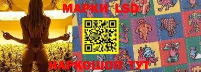 индика Будённовск