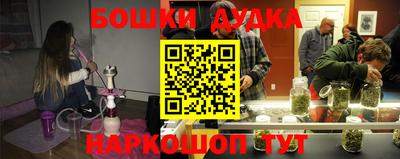 индика Будённовск