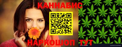 индика Будённовск