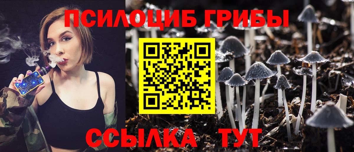 Соль-Илецк  Псилоцибиновые грибы мицелий  Псилоцибиновые грибы MAGIC MUSHROOMS  Вход с VPN 